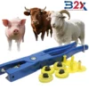 Boucles Auriculaires RFID (Ear Tags)