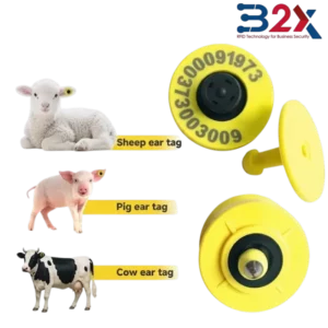 ear-tag-RFID-pour-Elevage ear tag RFID Ear Tags 134.2 kHz pour élevage en Tunisie - B2X