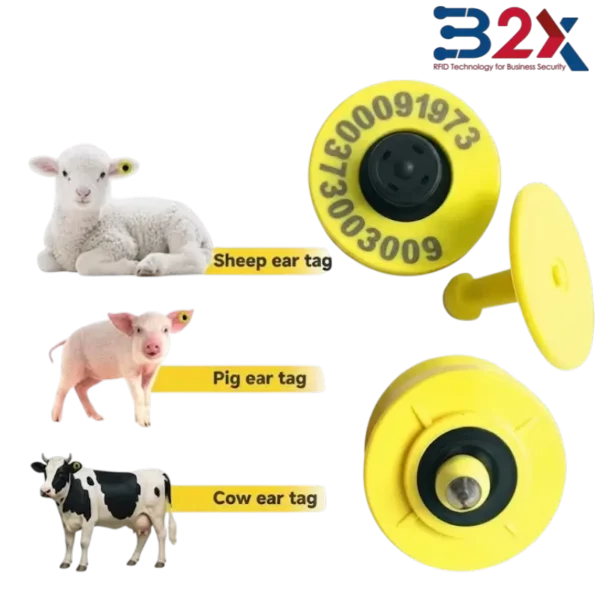 ear tag RFID Ear Tags 134.2 kHz pour élevage en Tunisie - B2X